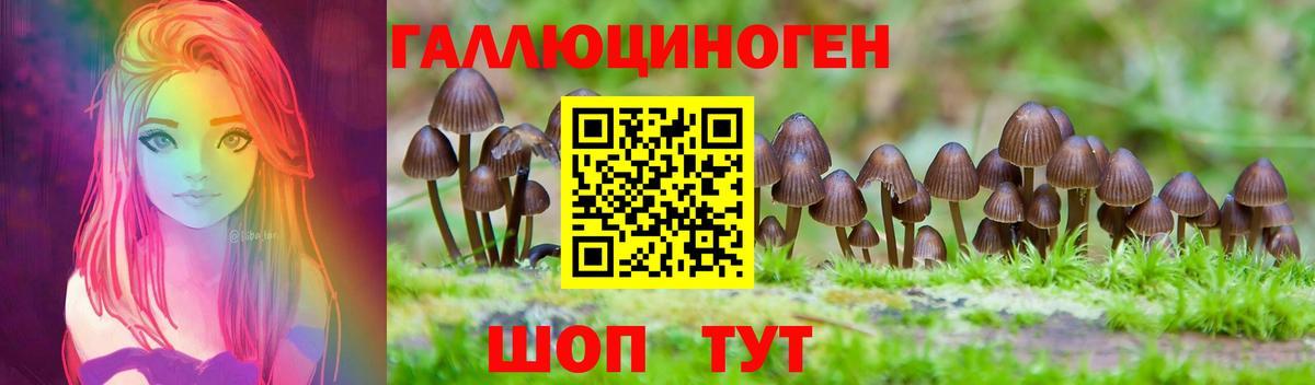 Усолье-Сибирское  Псилоцибиновые грибы Cubensis  Вход с VPN 